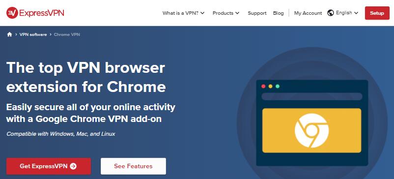 Chrome VPN 翻墙插件